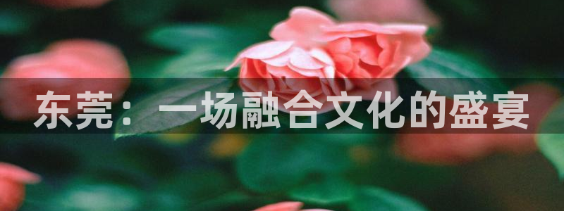 彩名堂官网2