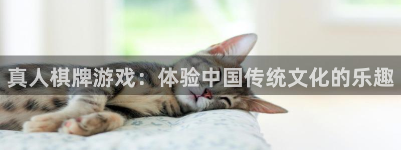 彩名堂全天计划