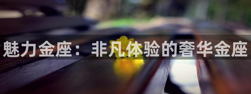 彩名堂旧版本下载