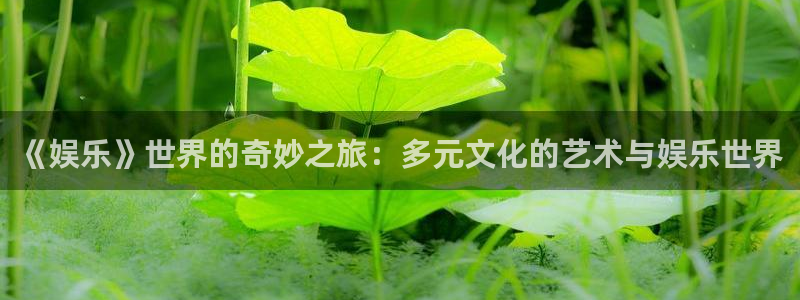 彩名堂旧版本