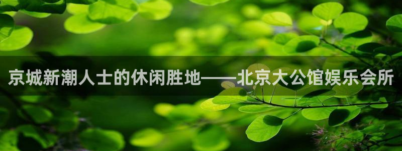 彩名堂使用方法