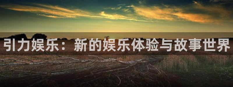 彩名堂旧版本下载